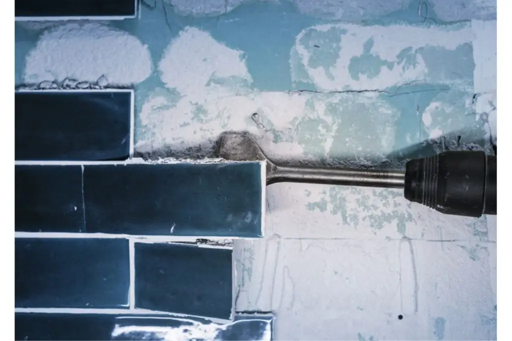 CINCEL PARA AZULEJOS PRO SDS MAX-4C, 80 X 300 MM