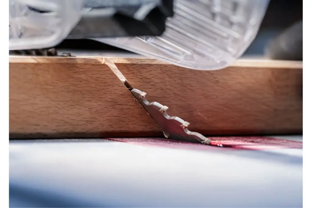 HOJA DE SIERRA CIRCULAR PRO WOOD, 250 X 3,2 X 30 MM, T60