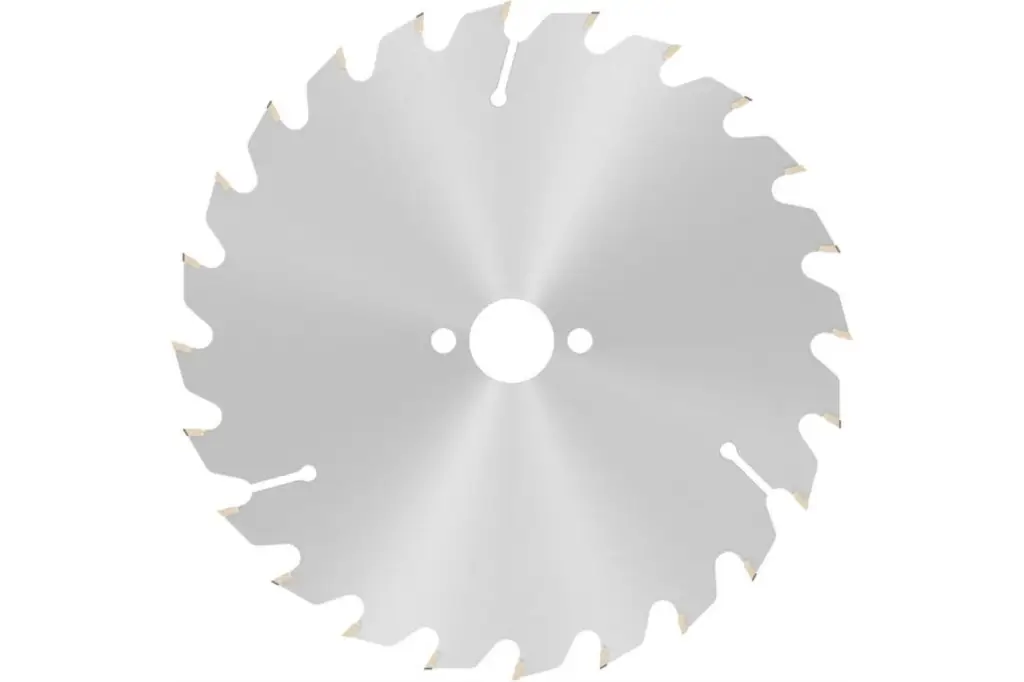 HOJA DE SIERRA CIRCULAR PRO WOOD, 160 X 1,8 X 20 MM, T24