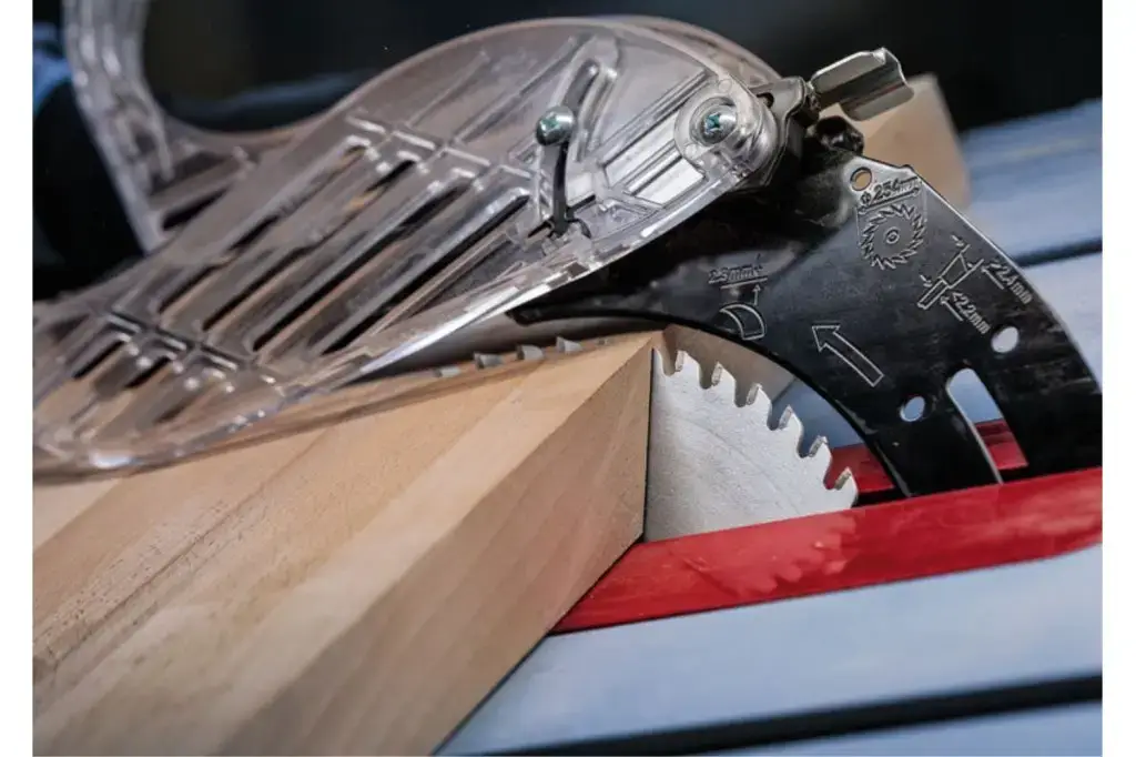 HOJA DE SIERRA CIRCULAR PRO WOOD, 250 X 3,2 X 30 MM, T60