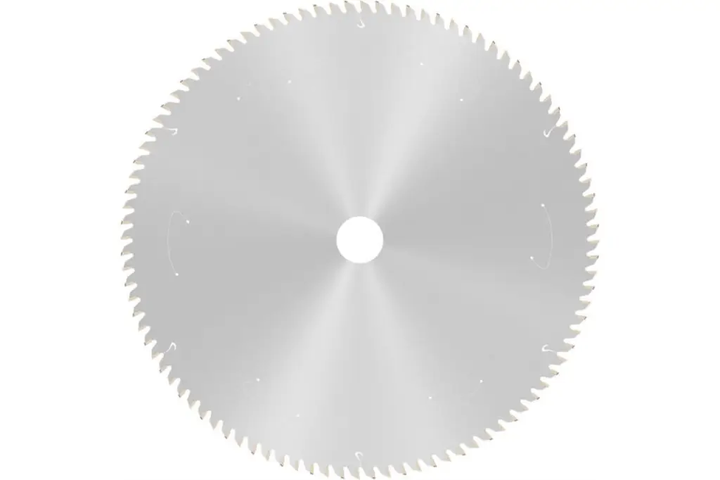 HOJA DE SIERRA CIRCULAR PRO WOOD CORDLESS, 305 X 2,2 X 30 MM, T60