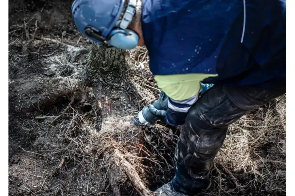 HOJA DE SIERRA SABLE EXPERT 'TOUGH WOOD' S 1142 KHM, 3 UNIDADES