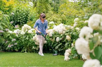 CORTABORDES A BATERÍA EASYGRASSCUT 18 V-230