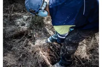 HOJA DE SIERRA SABLE EXPERT 'TOUGH WOOD' S 1242 KHM, 1 UNIDAD